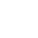 Cingulate Inc. Share Price